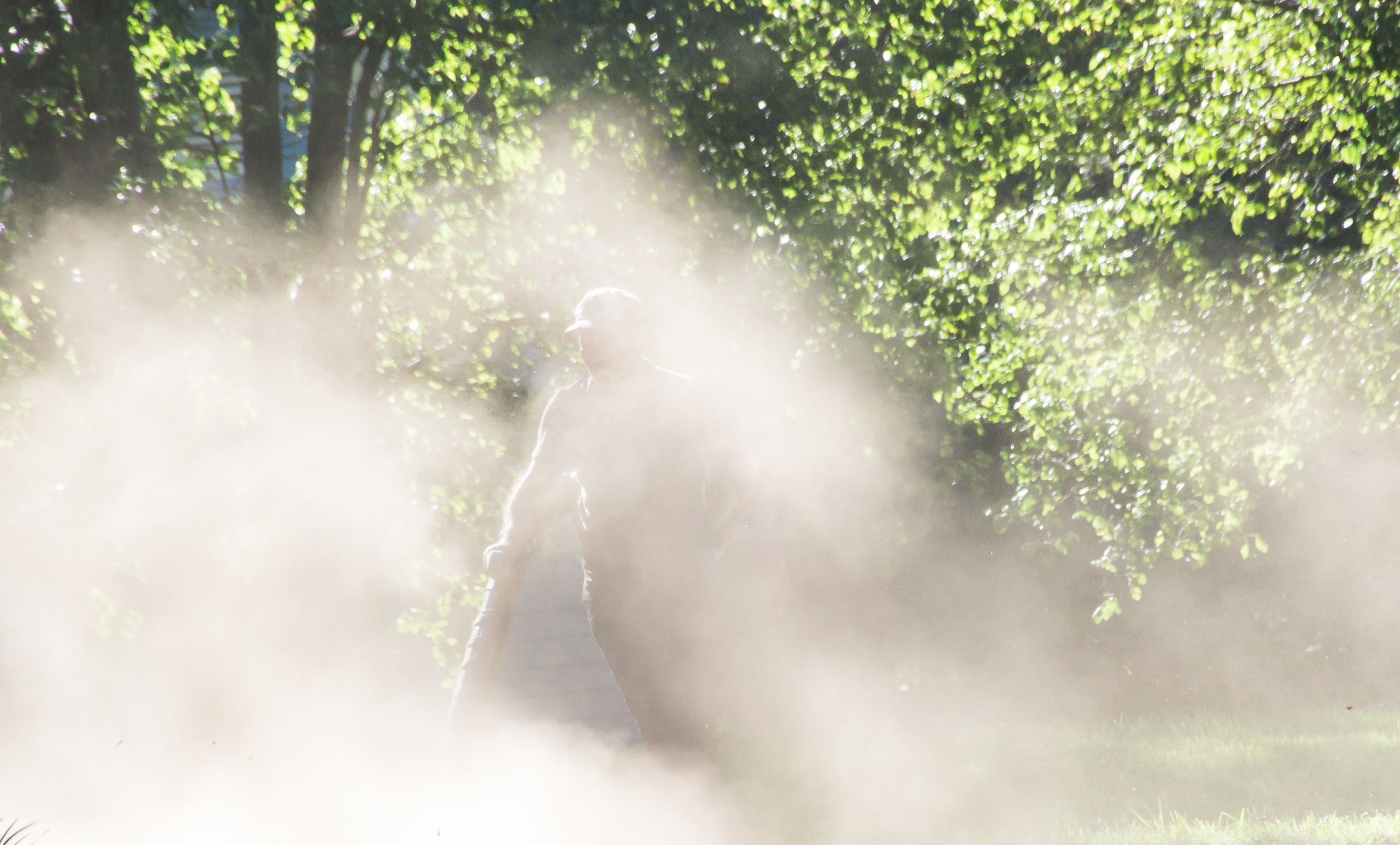 A worker is engulfed by dust and smog from a leaf blower